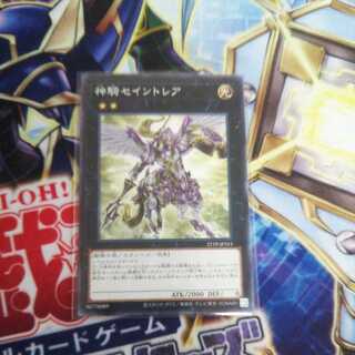 Sky Cavalry Centaurea Normal