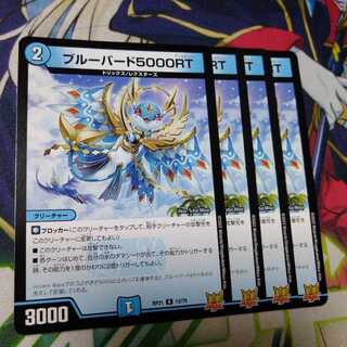 Snubbull Bird 5000 RT