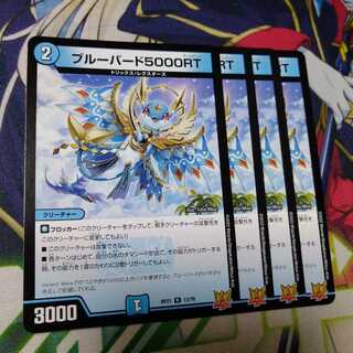 Snubbull Bird 5000 RT