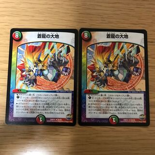 蒼龍の大地 2枚セット