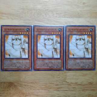 Koa'ki Meiru Guardian