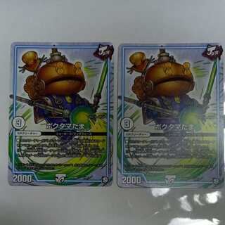 5/18 Shipping] Pokutama Tama