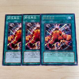 Wild Nature's Release♧1231