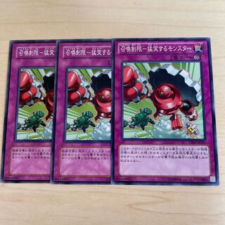 召喚制限-猛突するモンスター♧1246