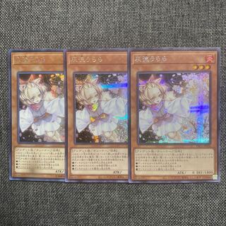 Ash Blossom & Joyous Spring Secret Rare