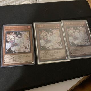 Ash Blossom & Joyous Spring (existing illustration) 3 Ultra Rare