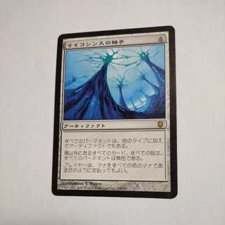 MTG　マイコシンスの格子　日本語　H