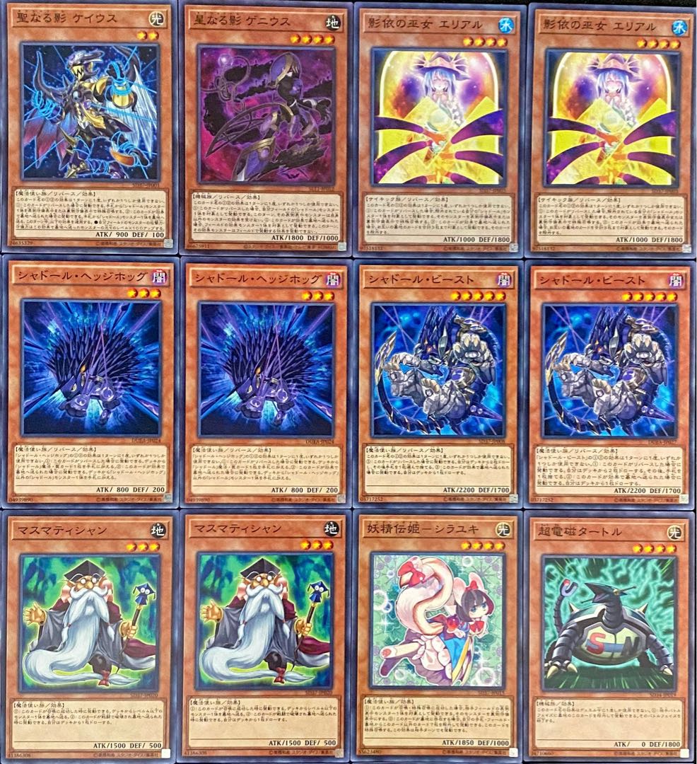 Yu-Gi-Oh! Authentic Constructed Shador Deck Rosaan + EX