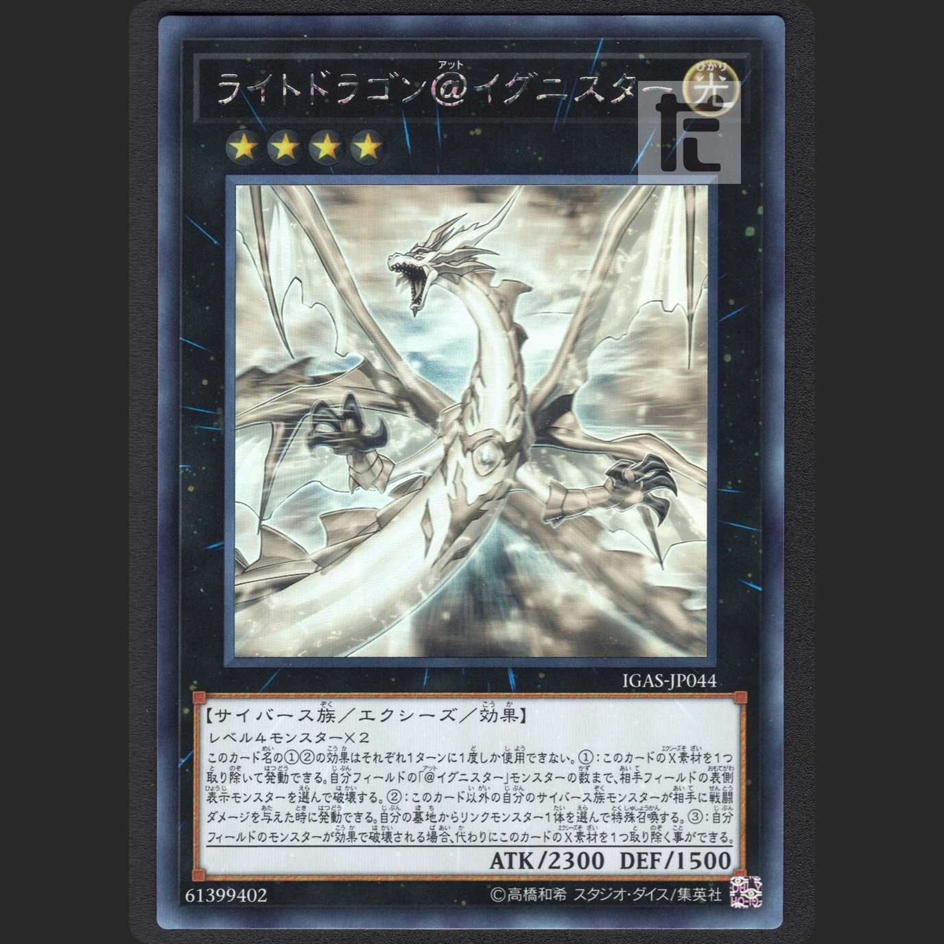 Light Dragon @ Ignister [near] Holographic/Managed by MY0164