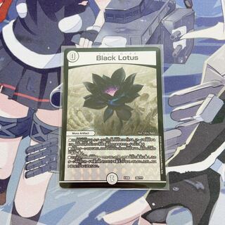 【最安値】Black Lotus ブラックロータス