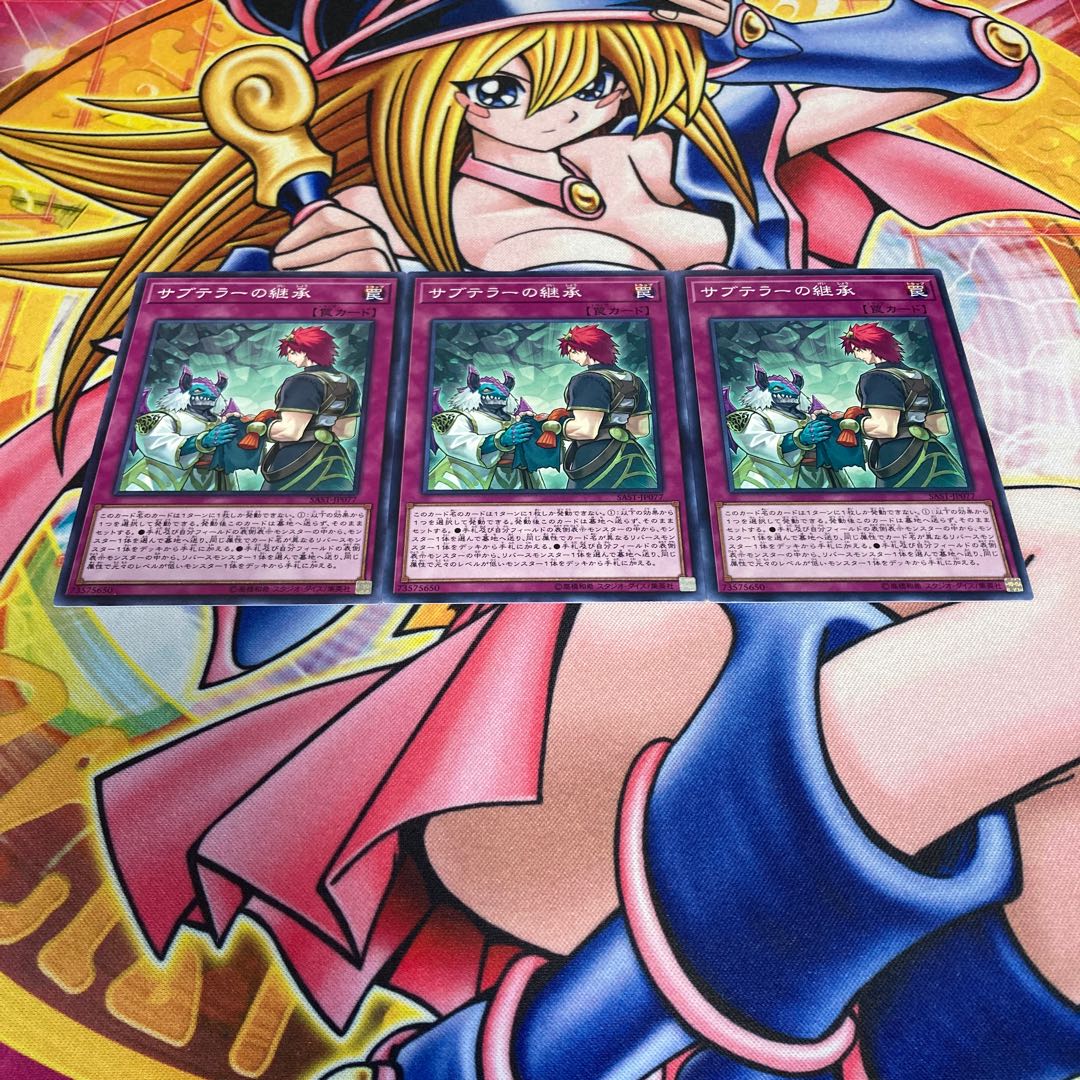 Subterror Succession