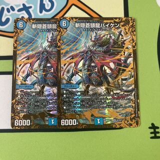 Zan'yaku Sotouryu Baiken