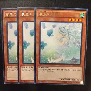 Spirit of the Fall Wind Rare