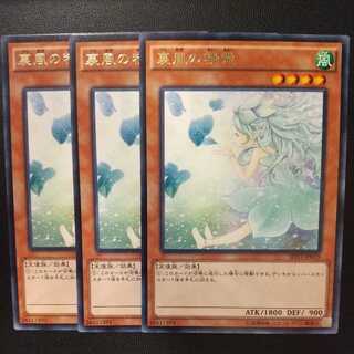 Spirit of the Fall Wind Rare