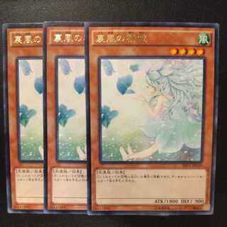 Spirit of the Fall Wind Rare