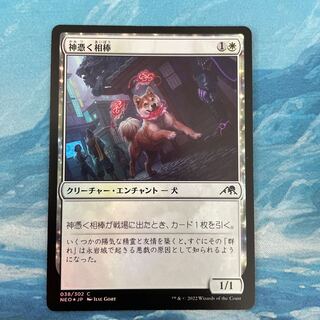 MTG foil x 1 non-foil x 1 God-possessed buddy