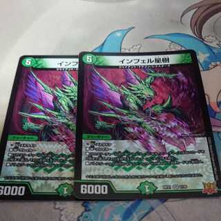 Infelix star tree (species of sedge, Infelix infertilis)