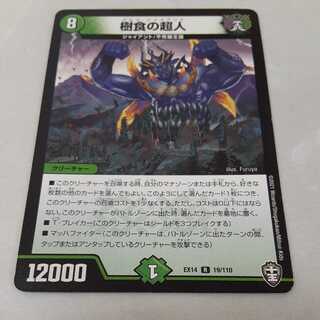 Psychic person of tree food