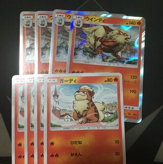 セットでお得！ ウィンディ ガーディ