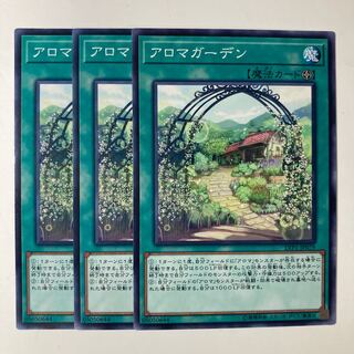 アロマガーデン　☆7036