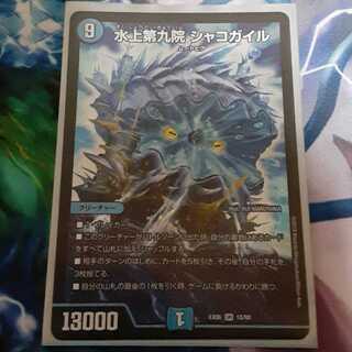 Waterjo Ninth Institute Shakogile