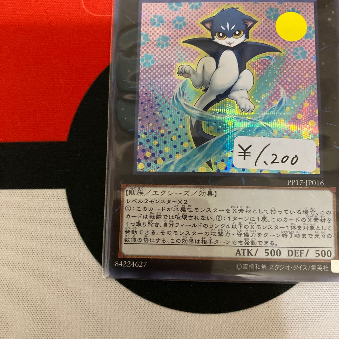 Cat Shark Secret Rare 1 copy Special Price