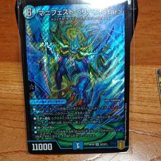 Manifesto <Leaf.Star>.