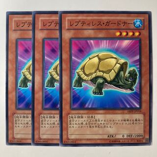 5342 レプティレス・ガードナー ノーマル JP016