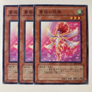 薔薇の妖精　☆7060