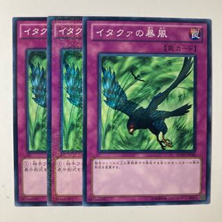 5359 イタクァの暴風 ノーマル JP030