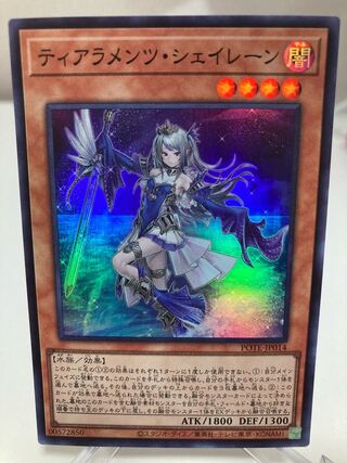 上下様専用ページ　ティアラメンツ・シェイレーン 2枚