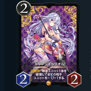 ２枚セット エリースペリオル