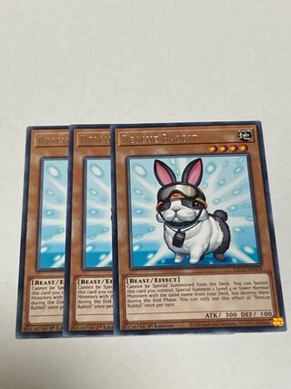 Rescue Rabbit English EU edition 3 copies