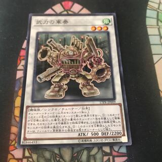 遊戯王　武力の軍奏　パラレル　ノーパラ