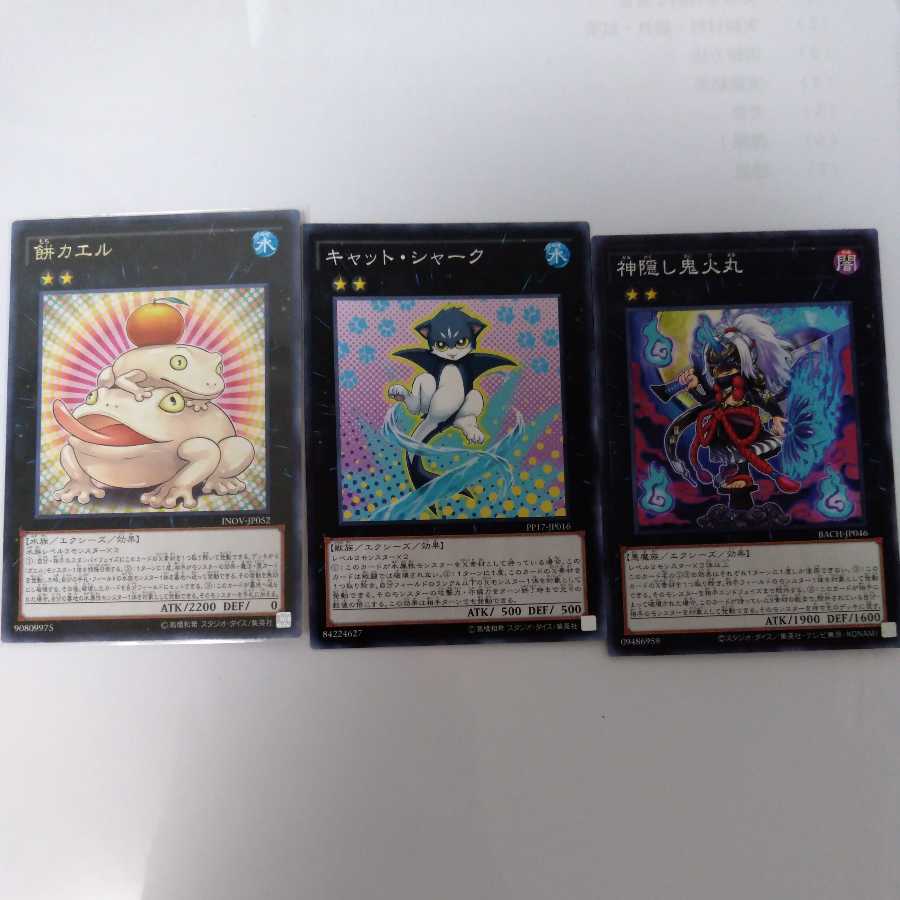 Toadally Awesome Rare Cat Shark Normal