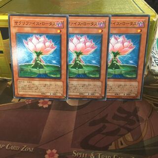 アンコウ サクリファイス・ロータス 3枚