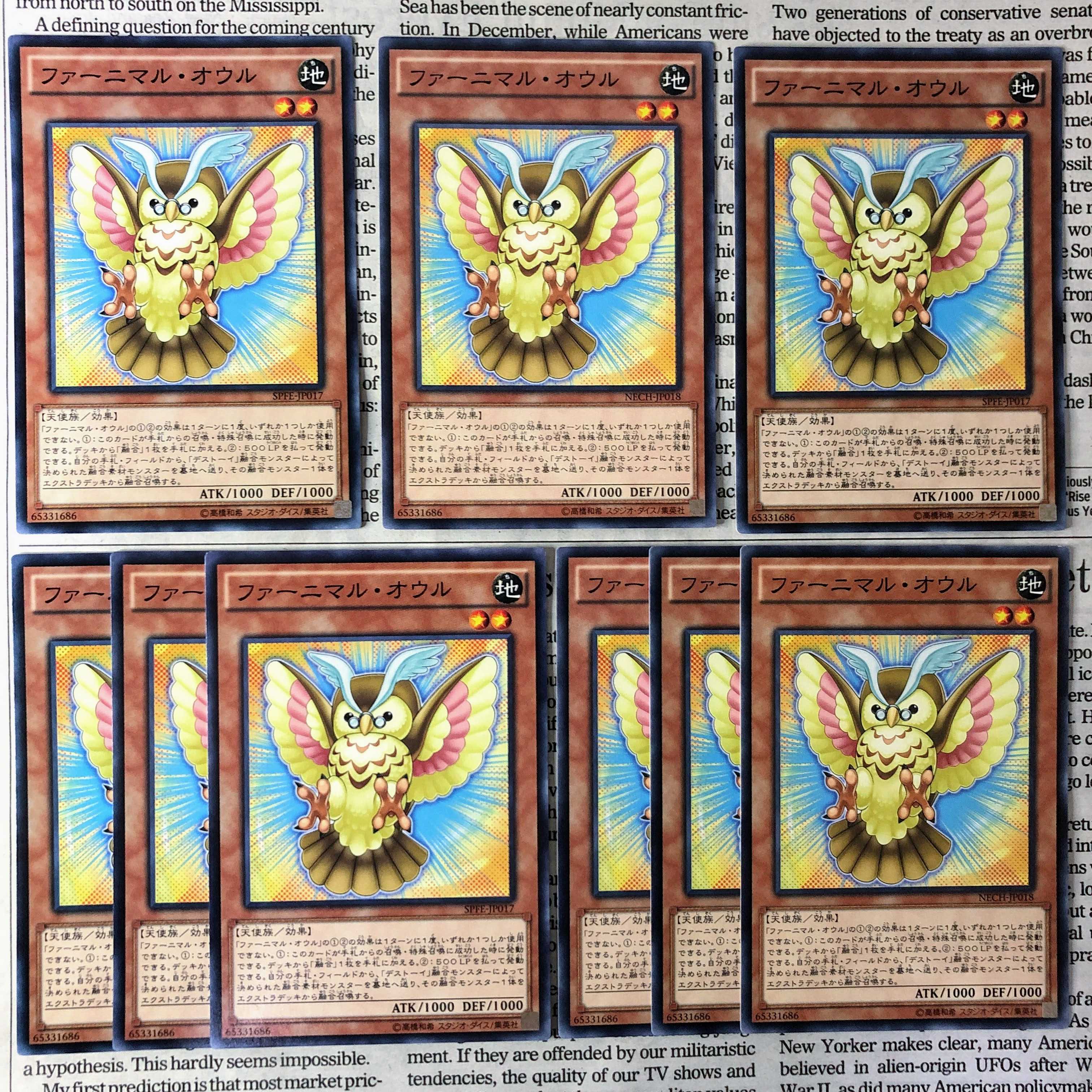 YU29 Fluffal Owl Normal