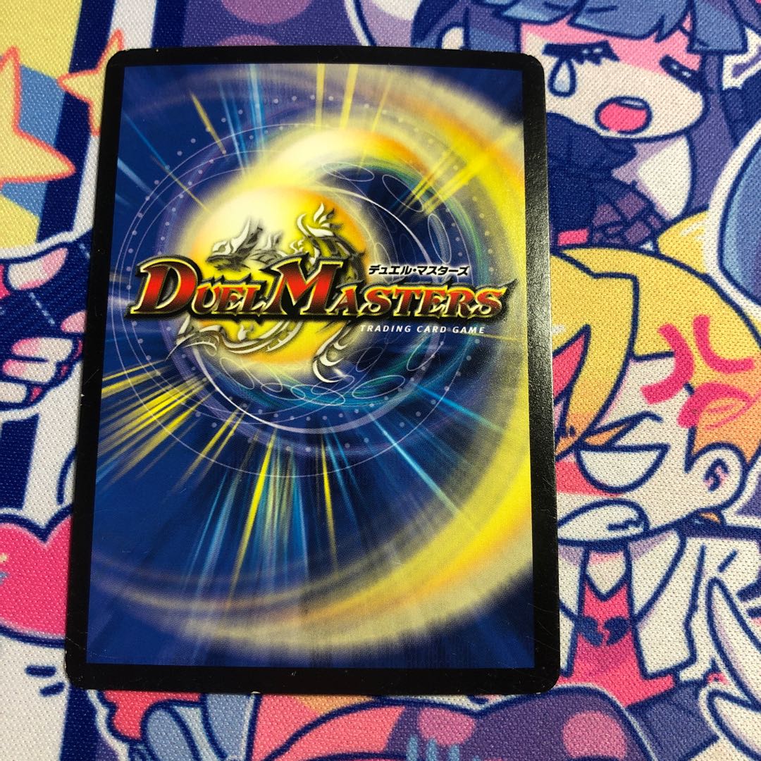 Knight of the Shield of the Absolute."