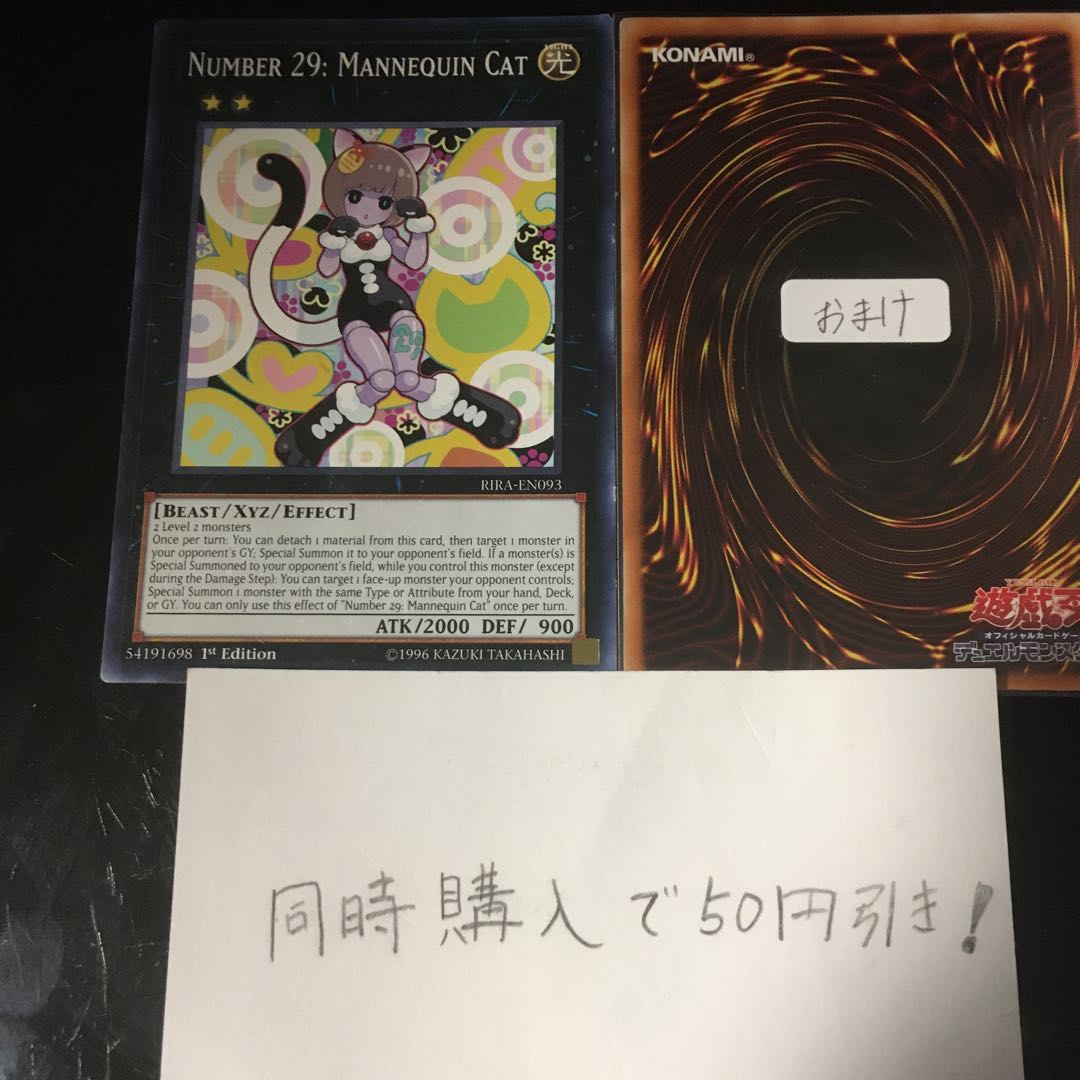 Number 29: Mannequin Cat 12450