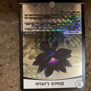 ブラックロータス　black lotus