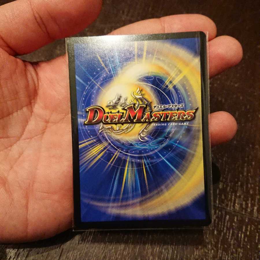 一なる部隊 イワシン