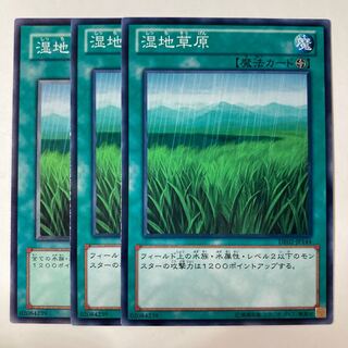 5379 湿地草原 ノーマル JP144