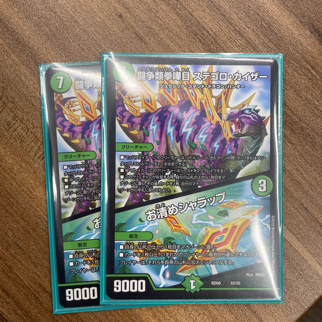 闘争類拳嘩目 ステゴロ・カイザー｜お清めシャラップ