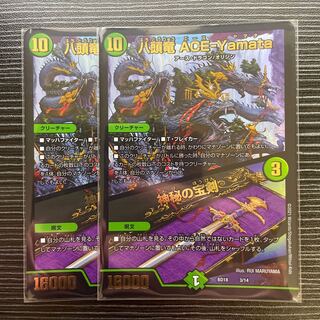 Eight-headed Dragon ACE yamata Mysterious Treasure Sword