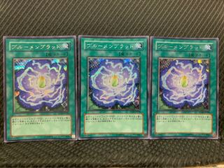 【ぽぽたん】遊戯王 -664 ブルーメンブラット 3枚 シークレット