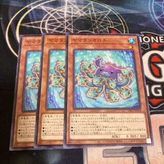 ヤマタコオロチ ノーマル　3枚