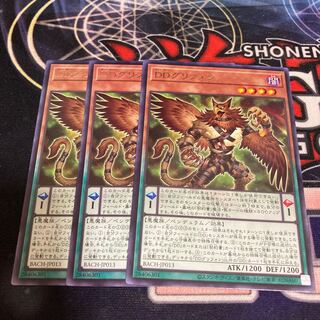 DD Griffon Rare 3 pieces