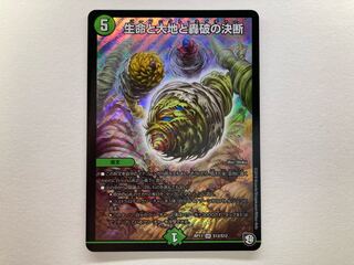 Life Life and Earth and Roaring Break Decision 1 piece