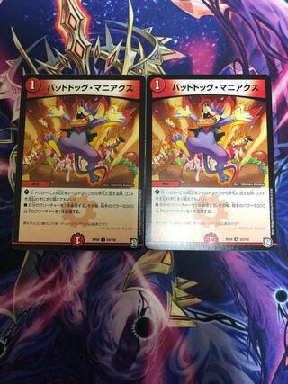 Dangerous Dog Maniacs