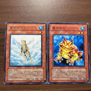 Chimayan Treeborn Frog, Swap Frog